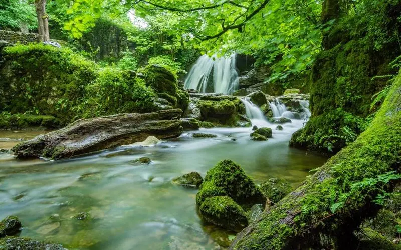 高性能科技可靠性